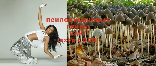 ГАЛЛЮЦИНОГЕННЫЕ ГРИБЫ Мегион